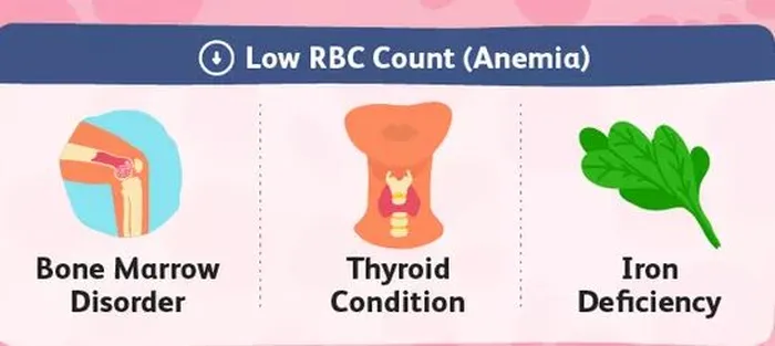 Low RBC in Blood