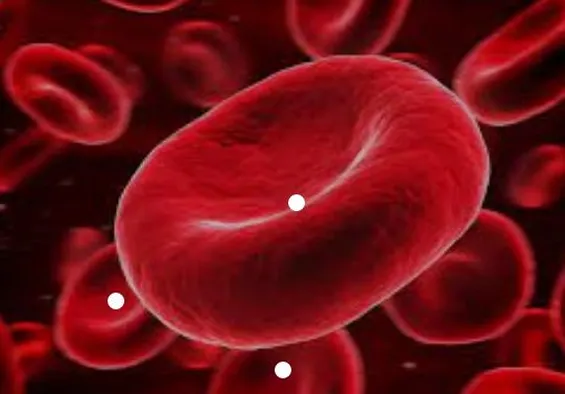 Red Blood Cell