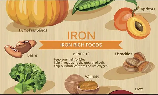 iron rich food