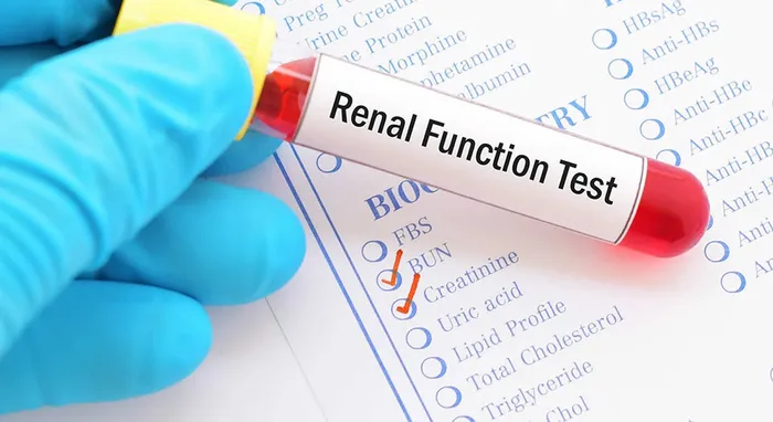 normal creatinine