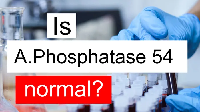 Alkaline phosphatase 54