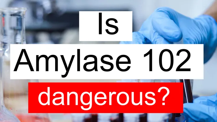 Amylase 102