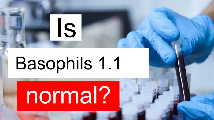 Basophils 1.1
