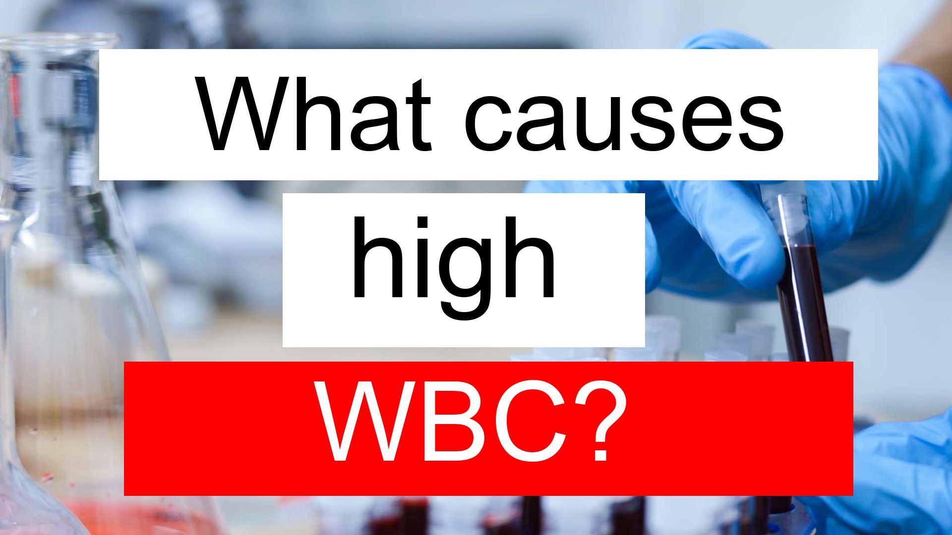 What does high WBC and RDW SD mean in blood test?