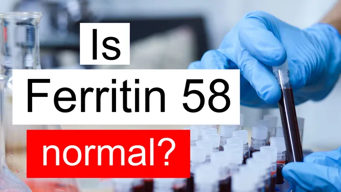 Ferritin 58