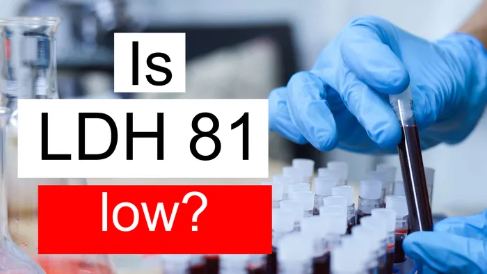 LDH 81