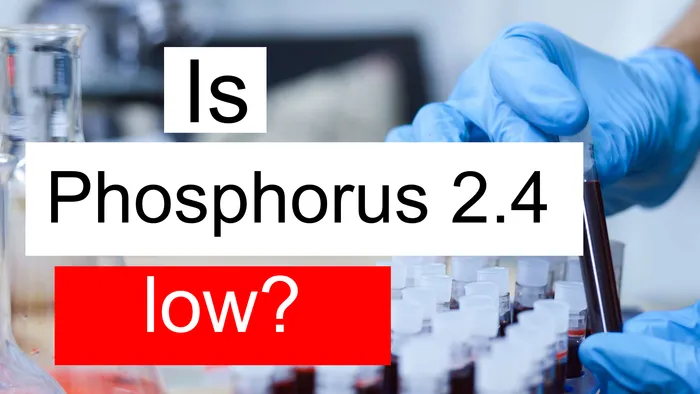 Phosphorus 2.4