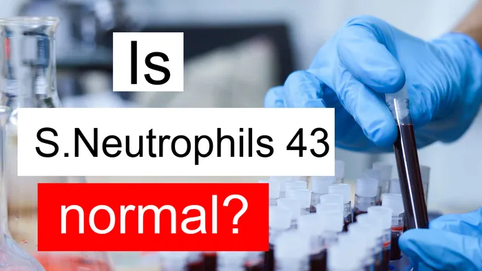 Segmented Neutrophils 43