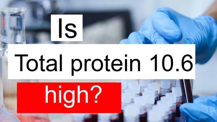 Total protein 10.6