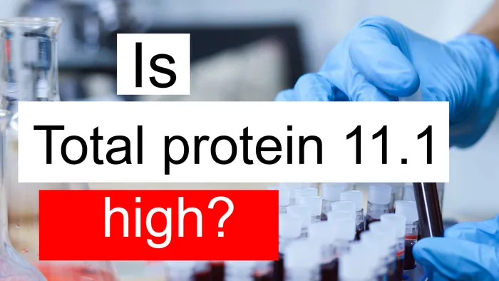 Total protein 11.1