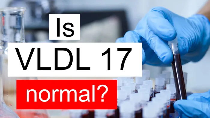 VLDL 17