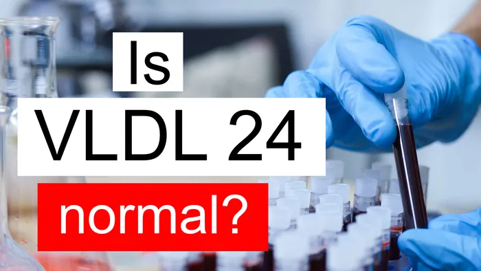 VLDL 24